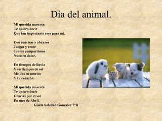 Día del animal. Mi querida mascota Te quiero decir Que tan importante eres para mí. Con sonrisas y abrazos Juegos y amor Juntos compartimos Nuestro dolor. En tiempos de lluvia Y en tiempos de sol Me das tu sonrisa Y tu corazón. Mi querida mascota Te quiero decir Gracias por el sol En mes de Abril. Gisela Soledad Gonzalez 7°B 