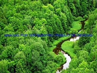 GRACIAS POR VER NUESTRO TRABAJO DE CIENCIAS
 