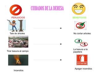 CUIDADOSDELADEHESA
PERJUICIOS BENEFICIOS
Tala de árboles
Tirar basura al campo
Incendios
Apagar incendios
No cortar arboles
La basura a la
papelera
 
