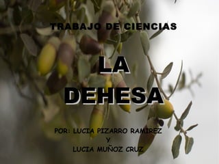TRABAJO DE CIENCIAS
POR: LUCIA PIZARRO RAMIREZ
Y
LUCIA MUÑOZ CRUZ
LALA
DEHESADEHESA
 