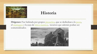 Historia
Orígenes: Fue habitada por grupos picunches, que se dedicaban a la pesca,
el marisqueo y la caza de lobos marinos, recursos que además podían ser
comercializados.
 