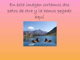 En esta imagen cortamos dos patos de otra y la hemos pegado aquí 
