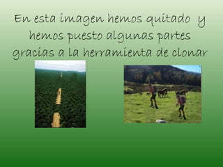 En esta imagen hemos quitado  y hemos puesto algunas partes gracias a la herramienta de clonar 