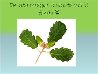 En esta imagen le recortamos el fondo   