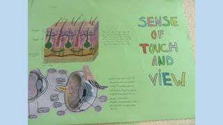 Trabajos de quinto y sexto