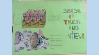 Trabajos de quinto y sexto