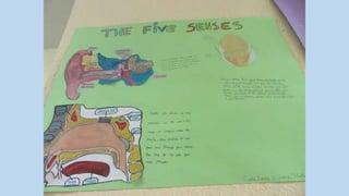 Trabajos de quinto y sexto