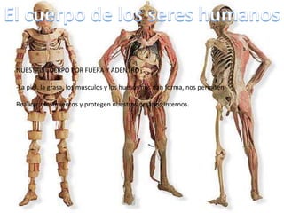 NUESTRO CUERPO POR FUERA Y ADENTRO
-La piel, la grasa, los musculos y los huesos nos dan forma, nos permiten
Realizar movimientos y protegen nuestros organos internos.