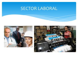 SECTOR LABORAL
 