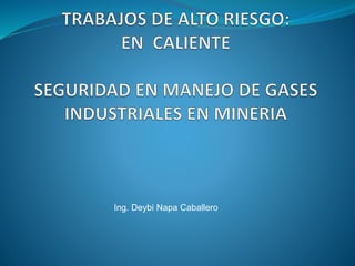 Ing. Deybi Napa Caballero
 