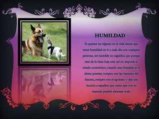 HUMILDAD.Si quieres ser alguien en la vida tienes que tener humildad en ti a cada día con cualquier persona, ser humilde no significa que porque eres de la clase baja eres así no importa tu  estado económico, cuando eres humilde se te abren puertas, rompes con las barreras del fracaso, rompes con el egoísmo y das una lección a aquellos que creen que con lo material pueden alcanzar todo.