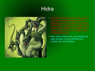 Hidra
● Las hidras tienen la piel color pardo y
el vientre amarillo blanquecino. Su
aspecto es el de un reptil con los ojos
color ámbar y dientes muy afilados. El
número de cabezas es variable, pero
suele estar entre 5 y 12. Miden unos
10 metros de alto.
● Son seres carnívoros, de inteligencia
algo escasa, lo que dificulta que
puedan ser entrenadas.
 