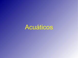 Acuáticos
 