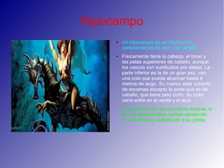 Hipocampo
● Un hipocampo es un híbrido con
características de pez y de caballo.
● Físicamente tiene la cabeza, el torso y
las patas superiores de caballo, aunque
los cascos son sustituidos por aletas. La
parte inferior es la de un gran pez, con
una cola que puede alcanzar hasta 4
metros de largo. Su cuerpo está cubierto
de escamas excepto la parte que es de
caballo, que tiene pelo corto. Su color
varía entre en el verde y el azul.
Los hipocampos son pacíficos aunque, si
se ven amenazados, luchan apretando
su mandíbula y aplastando a su presa.
 