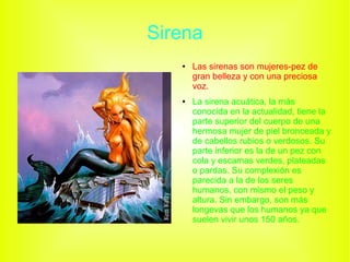 Sirena
● Las sirenas son mujeres-pez de
gran belleza y con una preciosa
voz.
● La sirena acuática, la más
conocida en la actualidad, tiene la
parte superior del cuerpo de una
hermosa mujer de piel bronceada y
de cabellos rubios o verdosos. Su
parte inferior es la de un pez con
cola y escamas verdes, plateadas
o pardas. Su complexión es
parecida a la de los seres
humanos, con mismo el peso y
altura. Sin embargo, son más
longevas que los humanos ya que
suelen vivir unos 150 años.
 