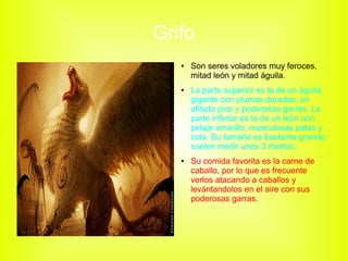 Grifo
● Son seres voladores muy feroces,
mitad león y mitad águila.
● La parte superior es la de un águila
gigante con plumas doradas, un
afilado pico y poderosas garras. La
parte inferior es la de un león con
pelaje amarillo, musculosas patas y
cola. Su tamaño es bastante grande,
suelen medir unos 3 metros.
● Su comida favorita es la carne de
caballo, por lo que es frecuente
verlos atacando a caballos y
levántandolos en el aire con sus
poderosas garras.
 