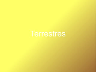 Terrestres
 