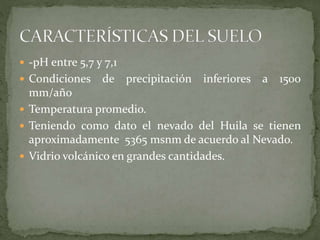  -pH entre 5,7 y 7,1
 Condiciones de precipitación inferiores a 1500
mm/año
 Temperatura promedio.
 Teniendo como dato el nevado del Huila se tienen
aproximadamente 5365 msnm de acuerdo al Nevado.
 Vidrio volcánico en grandes cantidades.
 