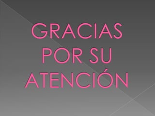 Trabajo sistemas web 2.0