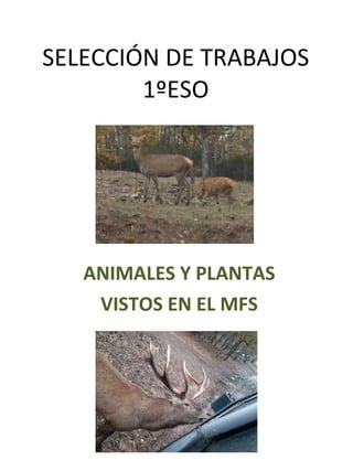 SELECCIÓN DE TRABAJOS 1ºESO ANIMALES Y PLANTAS VISTOS EN EL MFS 