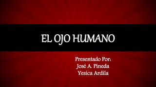 EL OJO HUMANO
Presentado Por:
José A. Pineda
Yesica Ardila
 