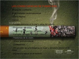LAS CONSECUENCIAS DE FUMAR SON: -Bronquitis y enfisema  -Enfermedades cardiovasculares -Ulcera Réptica -Cancer - Arrugas precoces en la piel y caída del cabello.  - Problemas dentarios. - Trastornos del sentido del gusto.  - Faringitis, laringitis, sinusitis y otitis.  - Trastornos de la visión.  - Úlcera gastroduodenal.  - Osteoporosis.  - Disminución de la fertilidad en la mujer y climaterio precoz en la mujer.  - Impotencia sexual en el hombre.   