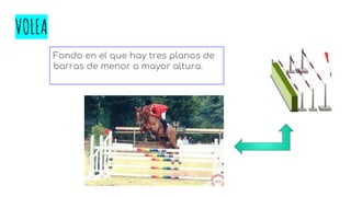 VOLEA
Fondo en el que hay tres planos de
barras de menor a mayor altura.
 