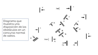 Diagrama que
muestra una
disposición de los
obstáculos en un
concurso normal
de saltos.
 
