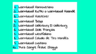 1. Warmblood Hannoveriano
2. Warmblood KWPN o Warmblood Holandé
3. Warmblood Holsteiner
4. Warmblood Belga
5. Warmblood Oldenburg El Oldenburg
6. Warmblood Selle Français
7. Warmblood Westfaliano
8. Warmblood Caballo de Tiro Irlandés
9. Warmblood Lusitano
10. Pura Sangre Árabe Shagya
 
