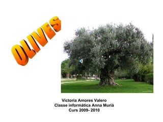 OLIVES Victoria Amores Valero Classe informàtica Anna Murià Curs 2009- 2010 