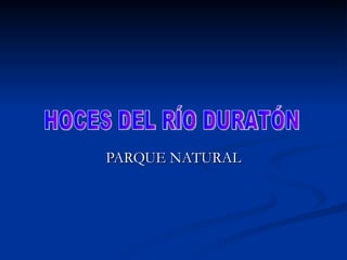 PARQUE NATURAL HOCES DEL RÍO DURATÓN 