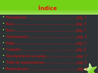 Índice
●
    Presentación...................................................pág. 1
●
    Raza...............................................................pág. 2
●
    Sexo...............................................................pág. 3
●
    Alimentación..................................................pág. 4
●
    Edad...............................................................pág. 5
●
    Cuidados........................................................pág. 6
●
    Descripción de su cuerpo...............................pág. 7
●
    Tabla de mantenimiento.................................pág. 8
●
    Realizado por..................................................pág. 9
 