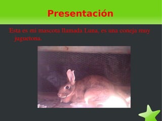 Presentación
Esta es mi mascota llamada Luna, es una coneja muy 
 juguetona.
 