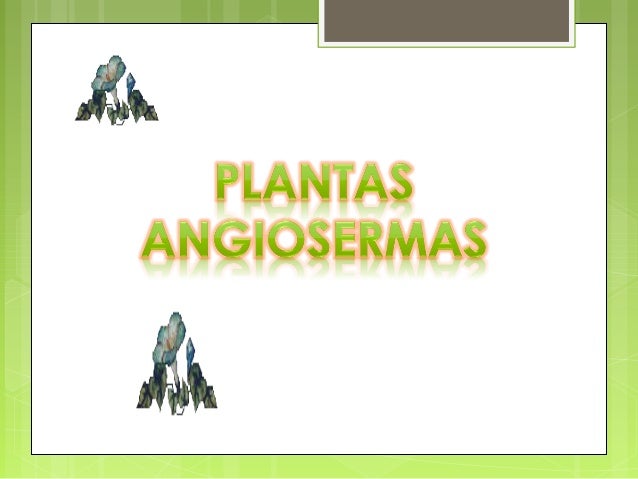 un género con varias especies de plantas rastreras Su nombre deri un género con varias especies de plantas rastreras Su nombre deri