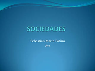 Sebastián Marín Patiño
8º2
 