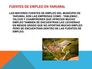 FUENTES DE EMPLEO EN YARUMAL
LAS MAYORES FUENTES DE EMPLEO DEL MUNICIPIO DE
YARUMAL SON LAS EMPRESAS COMO : TABLEMAC ,
TALCOS Y CHAMPIÑONES QUE OFRECEN MUCHO
EMPLEO TAMBIEN SE ENCUENTRAN LAS LECHERIAS
EN MENOS GRADO QUE NO APORTAN MUCHO EMPLEO
PERO SE ENCUENTRAN DENTRO DE LAS FUENTES DE
EMPLEO.
 
