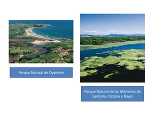 Parque Natural de OyambreParque Natural de las Marismas de Santoña, Victoria y Royel