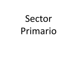 Sector Primario