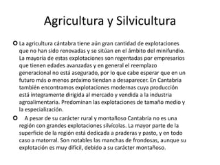 Agricultura y SilviculturaLa agricultura cántabra tiene aún gran cantidad de explotaciones que no han sido renovadas y se sitúan en el ámbito del minifundio. La mayoría de estas explotaciones son regentadas por empresarios que tienen edades avanzadas y en general el reemplazo generacional no está asegurado, por lo que cabe esperar que en un futuro más o menos próximo tiendan a desaparecer. En Cantabria también encontramos explotaciones modernas cuya producción está íntegramente dirigida al mercado y vendida a la industria agroalimentaria. Predominan las explotaciones de tamaño medio y la especialización. 
