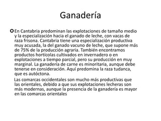     A pesar de su carácter rural y montañoso Cantabria no es una región con grandes explotaciones silvícolas. La mayor parte de la superficie de la región está dedicada a praderas y pasto, y en todo caso a matorral. Son notables las manchas de frondosas, aunque su explotación es muy difícil, debido a su carácter montañoso. GanaderíaEn Cantabria predominan las explotaciones de tamaño medio y la especialización hacia el ganado de leche, con vacas de raza frisona. Cantabria tiene una especialización productiva muy acusada, la del ganado vacuno de leche, que supone más de 75% de la producción agraria. También encontramos productos hortícolas cultivados en invernadero o en explotaciones a tiempo parcial, pero su producción en muy marginal. La ganadería de carne es minoritaria, aunque debe tenerse en consideración. Aquí predomina la raza tudanca, que es autóctona.     Las comarcas occidentales son mucho más productivas que las orientales, debido a que sus explotaciones lecheras son más modernas, aunque la presencia de la ganadería es mayor en las comarcas orientales