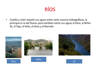 PARQUES NATURALESParque Natural (Picos de Europa)Fauna : quebrantahuesos,                            urogallo y rebeco.Ríos : Sella,Cares, Deva                              y Duje.                            Lagos: Enol y La Encirna                     Parque regional Sierra de Gredos