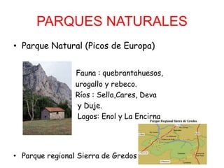 CLIMAEl clima dominante en Castilla y León es el mediterráneo con altos grados de continentalización; debido a la altitud y a la disposición de las montañas que impiden que lleguen las masas de aire húmedo marítimo. Así, las montañas presentan medias climáticas más frías.Las precipitaciones presentan un notable gradiente desde el centro del valle del Duero, donde no se alcanzan los 400 mm año, hacia las montañas que se pueden superara los 1.800 mm año.Lastemperaturaspresentan un gradiente muy acusado y con un patrón similar al de las precipitaciones. Descienden desde el valle del Duero hacia las montañas. Las temperaturas medias anuales en el valle del Duero son de más de 10 ºC, mientras que en las montañas descienden hasta los 2 ºC, como en Ávila o Soria. Esto implica que buena parte de las precipitaciones en las montañas se producen en forma de nieve. El mes más frío es enero y el más caluroso agosto.