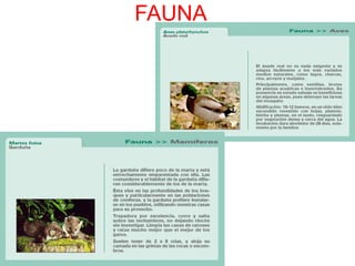 Sectores  Económicos