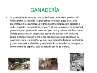 SECTOR SECUNDARIOINDUSTRIA    Durante el 2006, la industria de Castilla y León ocupaba el 18% de la población activa y aportaba el 25% del PIB. Tanto en Burgos como en Valladolid, donde hay una importante industria automovilística, papelera y química, se concentra la mayoría de la actividad industrial del territorio castellano y leonés.EXPLOTACIÓN MINERA    La Fundación Ciudad de la Energía ha elaborado un catálogo de escombreras que la actividad minera ha ido dejando a lo largo de los años en la comarca de El Bierzo. Más de 5.000 hectáreas que ahora serán sometidas a un largo proceso de recuperación. Un ejemplo de cómo se puede recuperar esos espacios mineros nos lo hemos encontrado en el municipio de Igüeña.El trabajo comenzó hace dos años con el objetivo de demostrar que es posible recuperar un espacio degradado por la actividad minera, aunque El Bierzo tiene mucho trabajo pendiente, como demuestra el catálogo elaborado por 25 expertos.