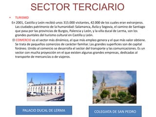 HistoriaCastilla y León es una región que fue habitada por iberos, celtas y ligures, sin sufrir las invasiones de fenicios, griegos ni cartagineses. Más adelante fue una provincia romana, alcanzó importancia bajo el gobierno visigodo y fue conquistada por los árabes. Se convirtió entonces en escenario de constantes escaramuzas que alteraban incesantemente sus fronteras.    Con Fernán González (950), Castilla se convirtió en un condado hereditario, todavía vasallo de León, hasta que en el 1029 entró en posesión de Sancho III de Navarra y, a su muerte, pasó a manos de su hijo Fernando I, primer rey de Castilla. Fernando integró en su reino a León y los territorios musulmanes pero, a su muerte, el reino fue de nuevo dividido entre sus hijos Sancho y Alfonso.