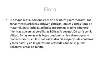 ENCINAALCORNOQUEGARRIGA