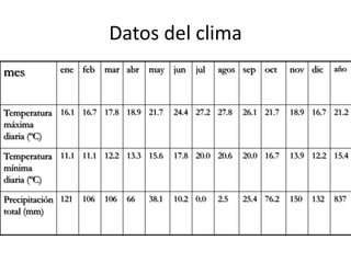 FloraLa vegetación ha sufrido los inconvenientes derivados de las necesidades defensivas de la población, que obligaba a mantener despejado el Campo Exterior. Durante muchas etapas de su historia se llevaron acabo talas sistemáticas en las cercanías del recinto amurallado.