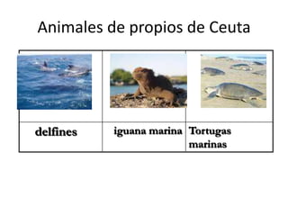EconomíaSECTOR PRIMARIO:Apenas existe ni agricultura ni ganadería, por que la pesca es la única actividad de importancia en el sector primario. SECTOR SECUNDARIO: Asimismo, tanto el sector secundario como el de la construcción son muy restringidos debido a la carestía de territorio, a pesar de que éste último sector ha conocido un notable desarrollo durante los últimos años. 