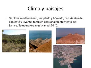 DemografíaLa ciudad cuenta con una población de 73.460 habitantes (INE 2009), con la tasa de natalidad más alta de España, frente al índice de mortalidad que se sitúa como el más bajo de España.El 45% de la población es originaria de la Península Ibérica, de idioma español y tradición religiosa católica (Diócesis de Málaga). Otro 45% de los melillenses son musulmanes, mayoritariamente autóctonos de la zona del Rif donde se asienta Melilla; su idioma materno es el Tamazigh, llamado equivocadamente a veces shelha, lengua bereber emparentada con el tamazigh.