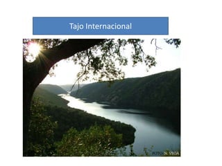 Monumentos NaturalesMina la JayonaLos Barruecos